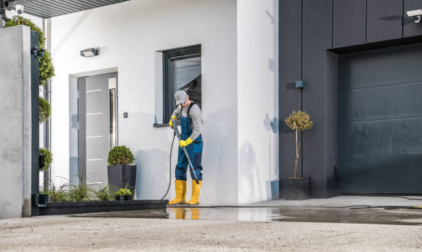 Animal Enclosure Cleaning in Port Washington, NY